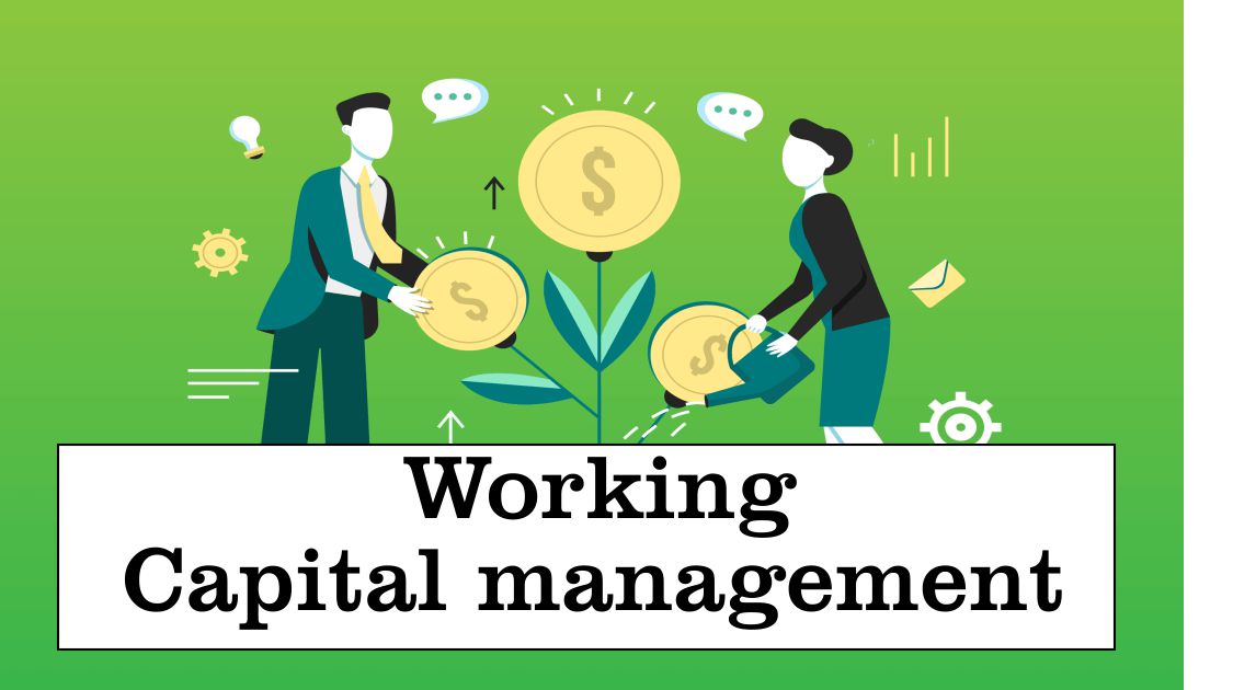 capital Management